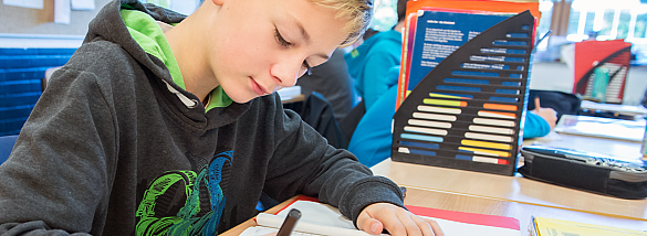 Bild eines Sch&uuml;lers